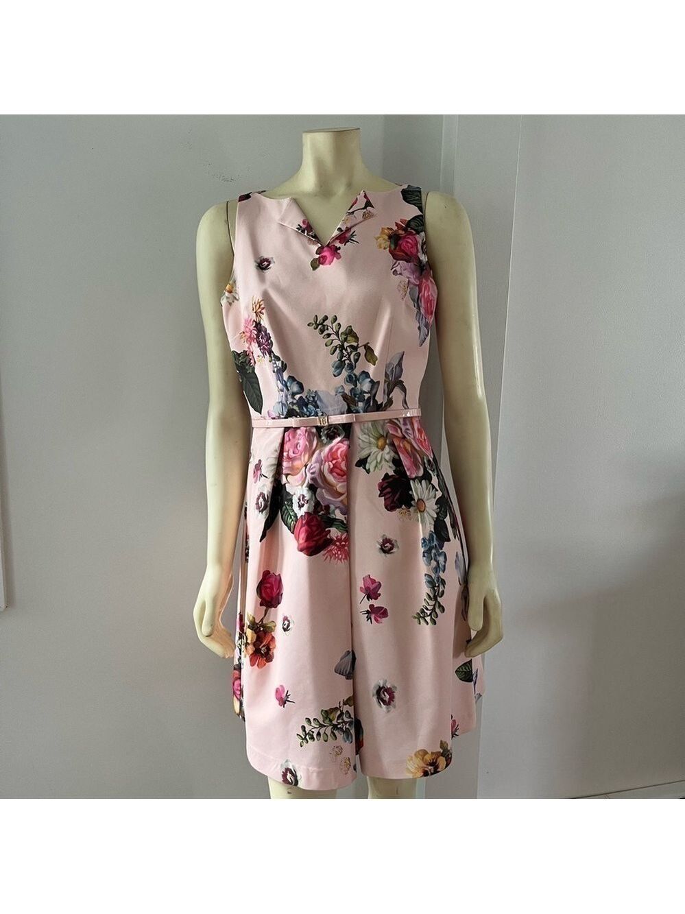 Ted BAKER DEAVON WOMEN'S OIL PAINTING Floral Sleeveless Belted DRESS NUDE PINK 6